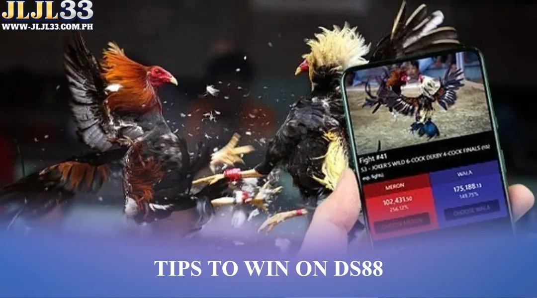 Tips to win on DS88